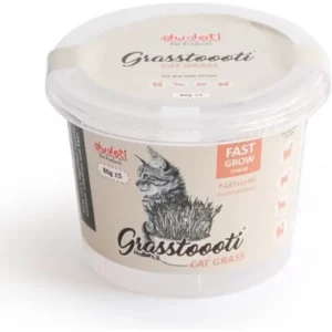 علف گربه ضخیم دودوتی Dudoti Thick Cat Grass