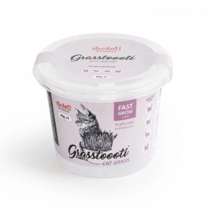 علف گربه نازک دودوتی Dudoti Thin Cat Grass