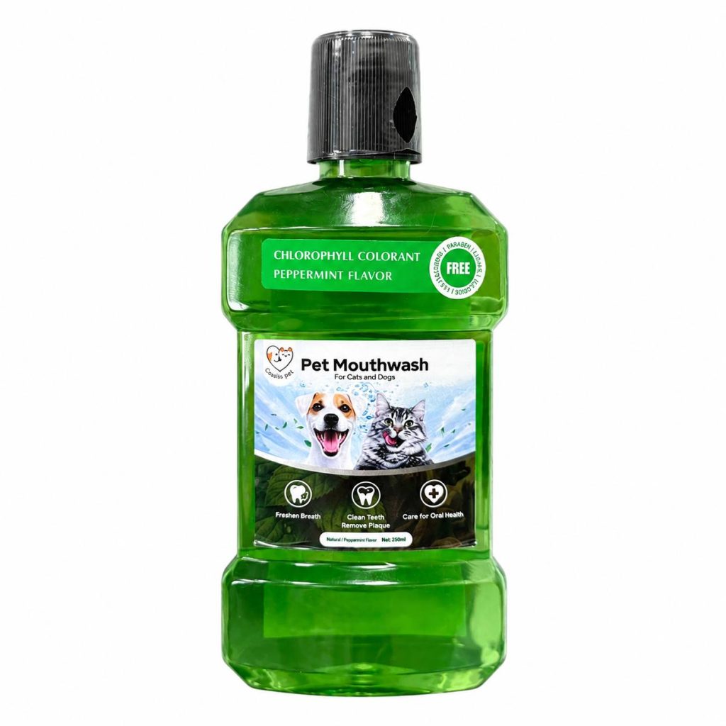 دهانشویه سگ و گربه با رایحه نعنا ۲۵۰ میلی‌لیتر Cassiel Pet Mint Oral Care