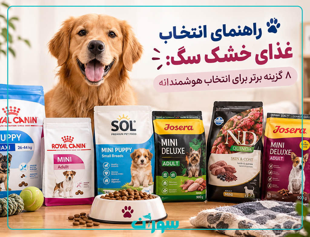 راهنمای انتخاب غذای خشک سگ ۸ گزینه برتر برای انتخاب هوشمندانه