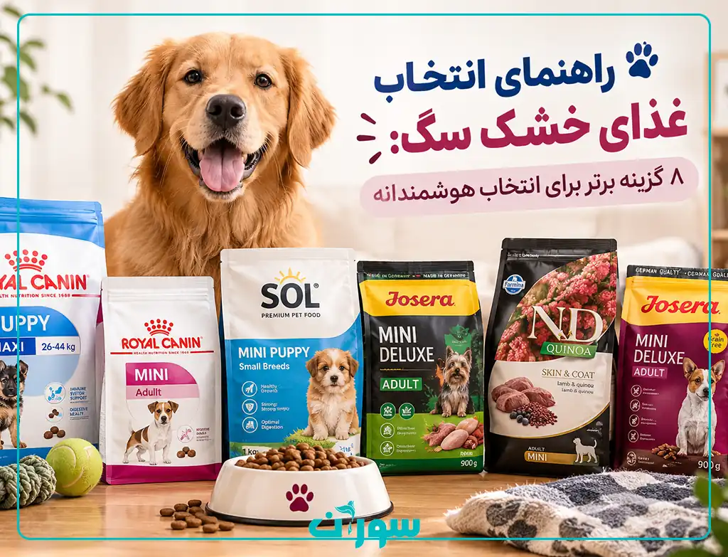 راهنمای انتخاب غذای خشک سگ ۸ گزینه برتر برای انتخاب هوشمندانه